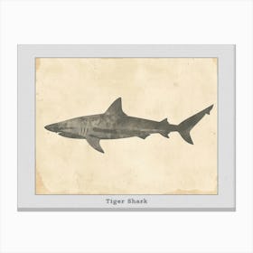 Tiger Shark Grey Silhouette 5 Poster Canvas Print