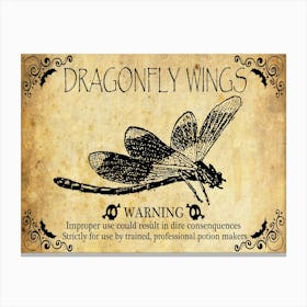 Dragonfly Wings, Halloween Poster Canvas Print