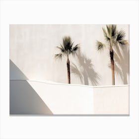 Shadows From Palm Tress On An White Wall Summer Photography Canvas Print