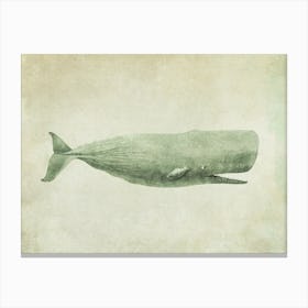 Antique Whale Canvas Print