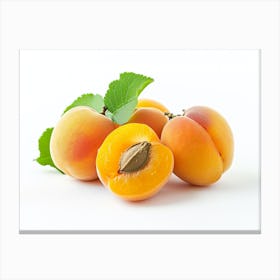 Apricots On White Background 3 Canvas Print