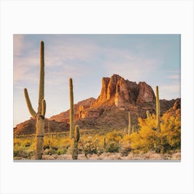 Sonoran Desert Scenery Canvas Print