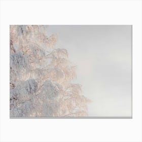 Frozen Tree In The Snow Canvas Print