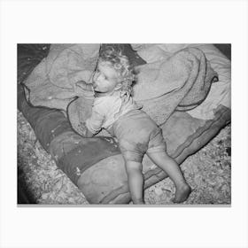 Child Of Migrant Strawberry Picker On Bed In Tent Near Hammond, Louisiana By Russell Lee Canvas Print