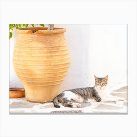 Greek Island Cat Canvas Print
