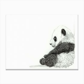 Adorable Baby Panda Canvas Print