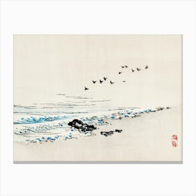 Birds At The Beach Canvas Print