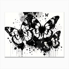Black And White Butterflies 1 Canvas Print