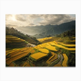 Sunset over the Rice Fields Canvas Print