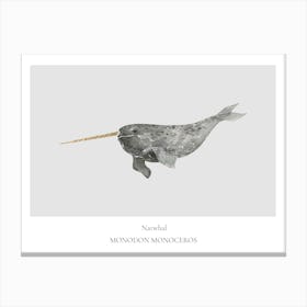 Narwhal Canvas Print