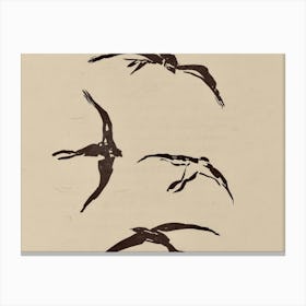 Birds In Flight 4 Canvas Print