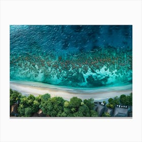 Aerial View Of A Beach 1 Canvas Print