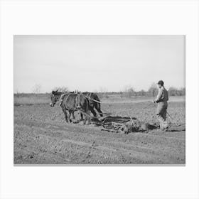 Son Of Pomp Hall, Tenant Farmer, Harrowing, Creek County, Oklahoma, See General Caption Number 23 By Canvas Print