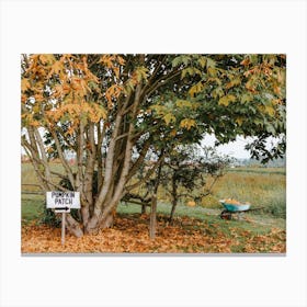 Pumpkin Patch Scenery Canvas Print