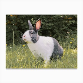 Easter Bunny Rabbit Canvas Print