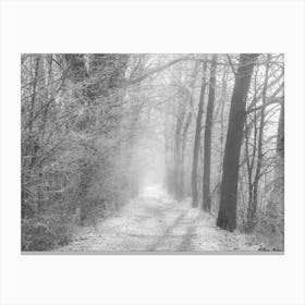 Foggy forest path in winter Canvas Print