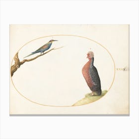 Flying And Amphibious Animals, Joris Hoefnagel 1 Canvas Print