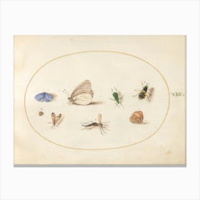 Two Butterflies With Five Other Insects, Joris Hoefnagel Canvas Print