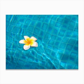 Tropical Flower In The Pool Canvas Print