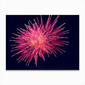 Fireworks In The Sky Canvas Print