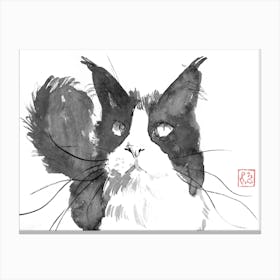 Cat Face Canvas Print