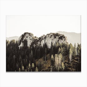 Forest Surrounding Hill Canvas Print