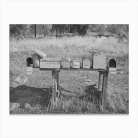 Mail Boxes Near Auburn, California, Notice The Japanese Name, The Japanese Are Moving Into This Section Canvas Print