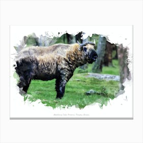 Motithang Takin Preserve, Thimphu, Bhutan Canvas Print