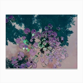 Lotus Green Purple Canvas Print