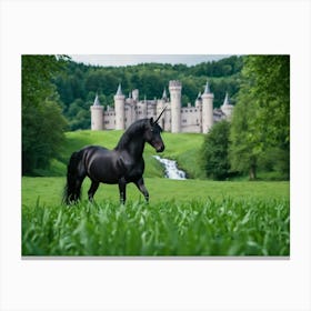 Black Beauty Canvas Print