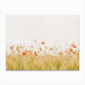 Spring Poppies Canvas Print
