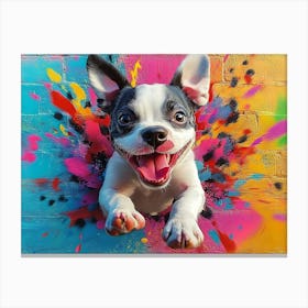 Boston Terrier Canvas Print