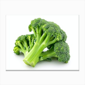 Broccoli 4 Canvas Print