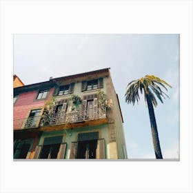 Palm and Colorful Building Porto Portugal Canvas Print