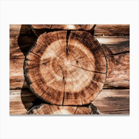 Log Cabin Wood Canvas Print