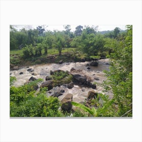 River In The Jungle 3 Canvas Print