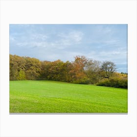 Autumn In A Field Canvas Print