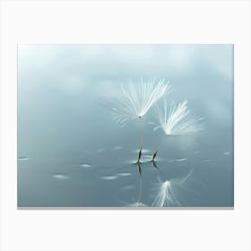 Dandelion 24 Canvas Print