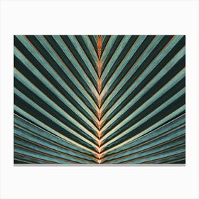 Palm Leaf Canvas Print