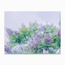 Lilac Tree Canvas Print