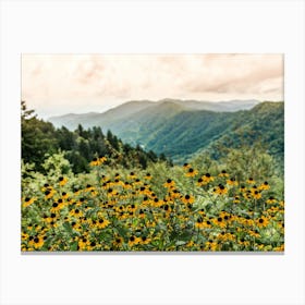 Wildflower Adventure - Smoky Mountain National Park Canvas Print