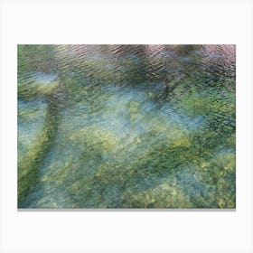 Reflection of trees in water, summer dream Canvas Print