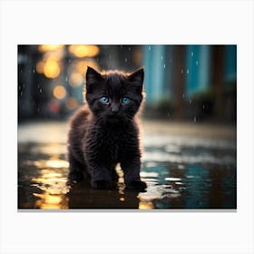 Black Kitten with blue eyes In The Rain Canvas Print