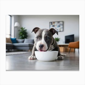 Pit bull Dog Eating From A Bowl Canvas Print