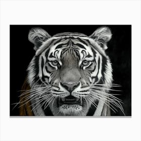 Tiger Canvas Print