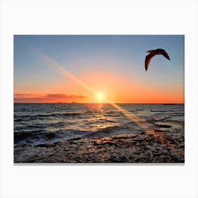 Seagull Flying Over The Ocean At Sunset in Ibiza (Spain Series) Canvas Print