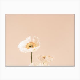 White And Yellow Flower Canvas Print