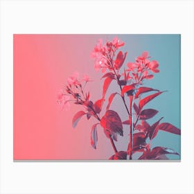 Pink Flowers On A Pink Background Canvas Print