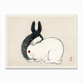 Black And White Rabbits, Kōno Bairei Canvas Print