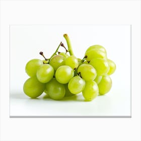 Green Grapes 4 Canvas Print